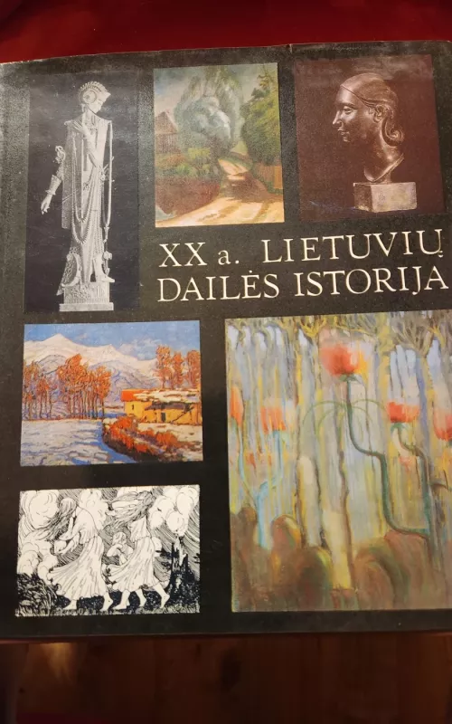XX a. lietuvių dailės istorija. 1900-1940 m. - Autorių Kolektyvas, knyga