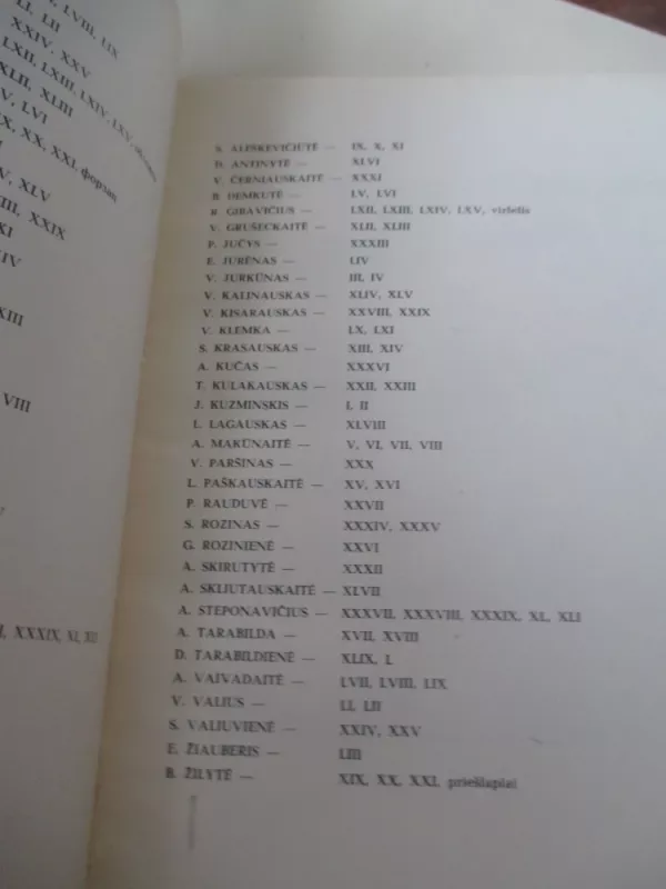 Lietuvių grafika. 1960-1962 - Autorių Kolektyvas, knyga 4