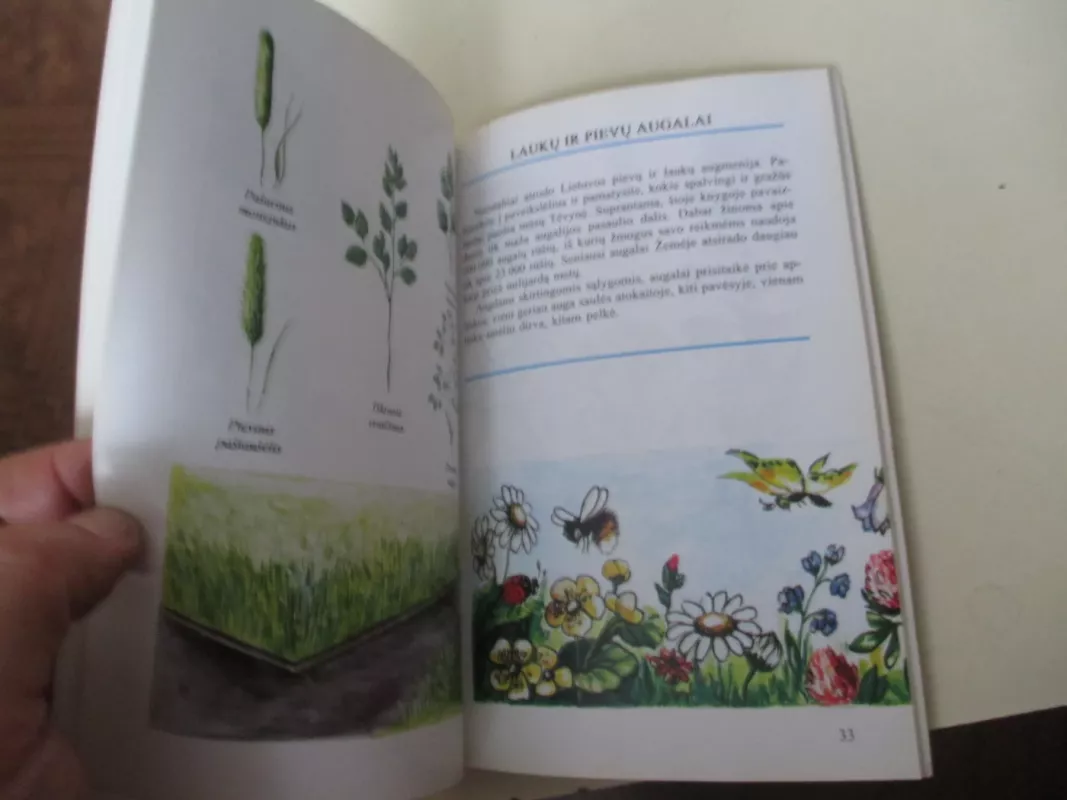 Žaliasis pasaulis - Valdas Sasnauskas, knyga 6