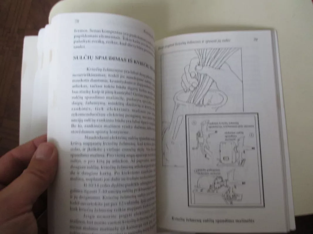 Kviečių želmenų knyga - Ann Wigmore, knyga 6