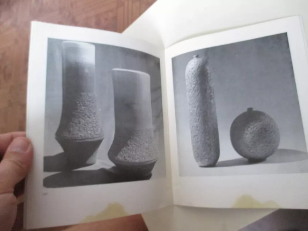 Algirdas Laucius - Emilija Liegutė, knyga 5