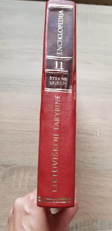 Lietuviškoji tarybinė enciklopedija (XI tomas) - Autorių Kolektyvas, knyga 3