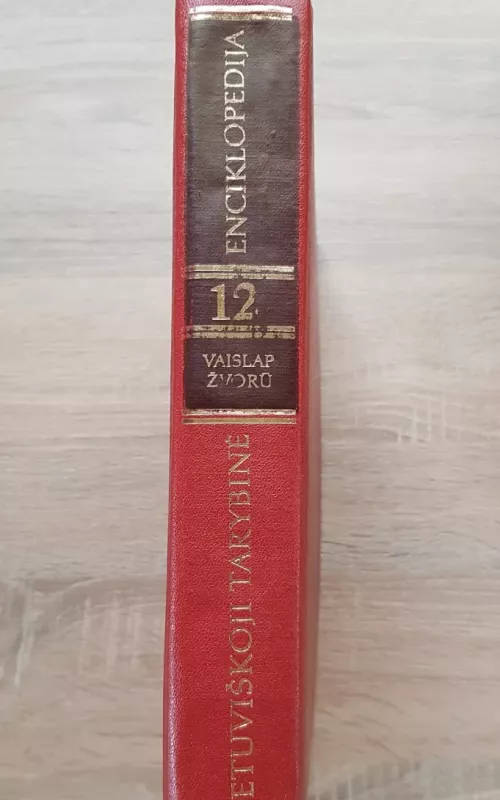 Lietuviškoji Tarybinė Enciklopedija 12 TOMAS - Autorių Kolektyvas, knyga 2