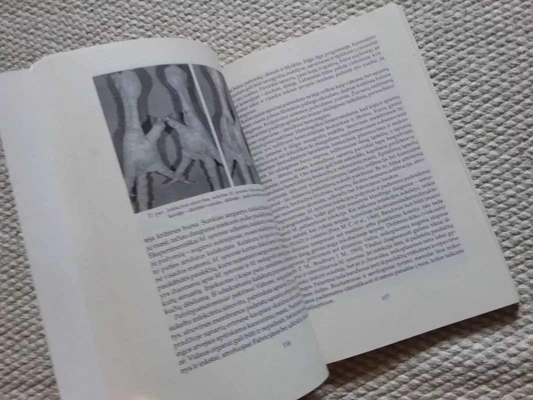 Paukščių mikoplazmozės - Vytautas Kaluina, knyga 4