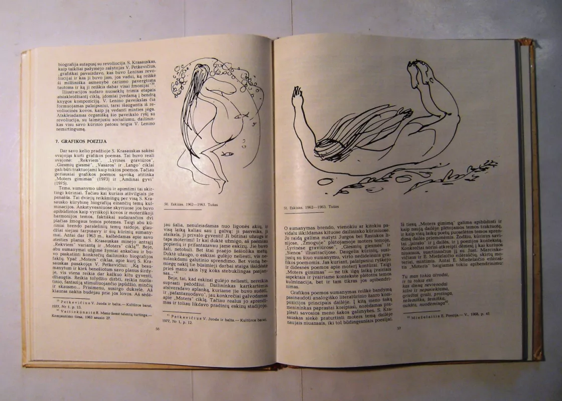 Stasys Krasauskas - Gytis Vaitkūnas, knyga 6