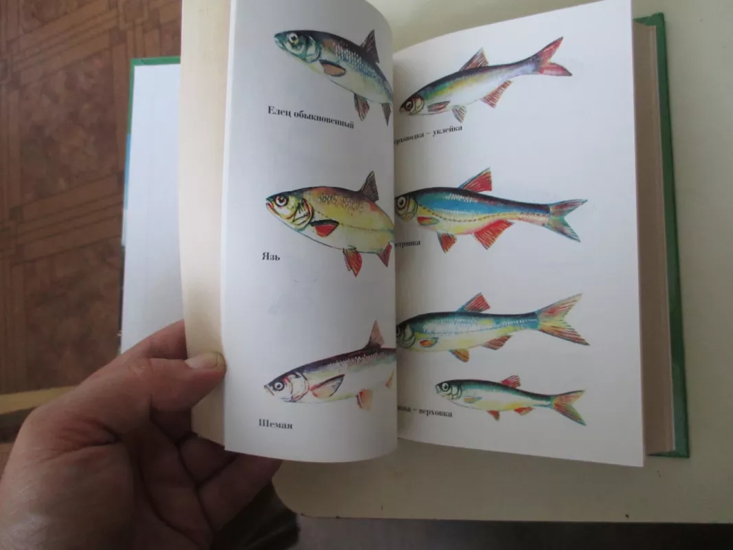 Жизнь и ловля пресноводных рыб - Л. П. Сабанеев, knyga 4