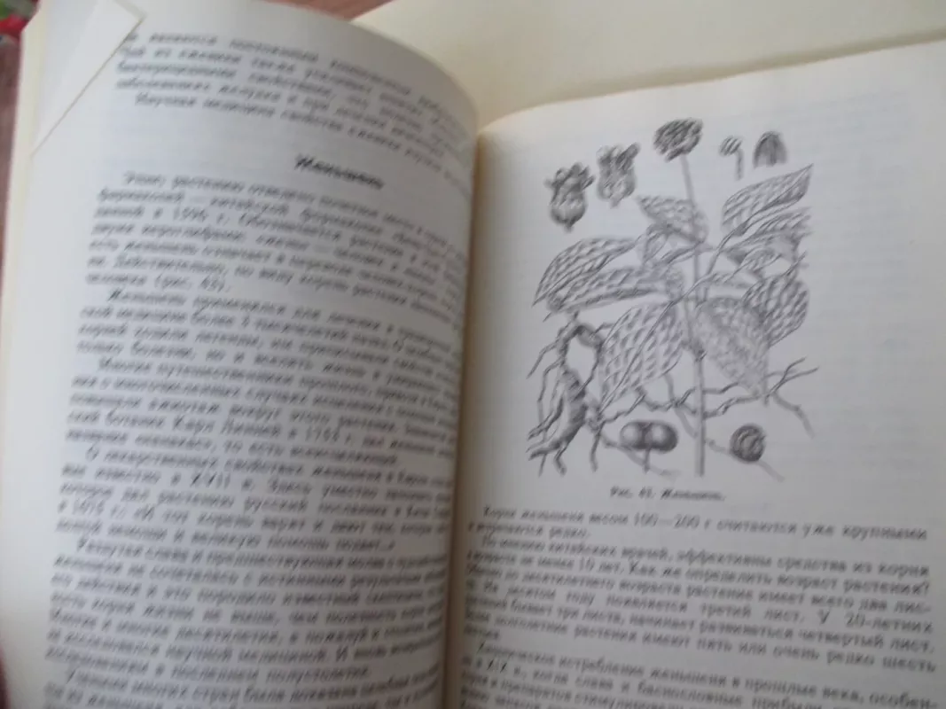 Сахарноснижающие растения - Л. Николайчук, knyga 4