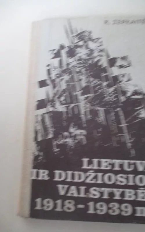 Lietuva ir didžiosios valstybės 1918-1939 m. - Regina Žepkaitė, knyga 2