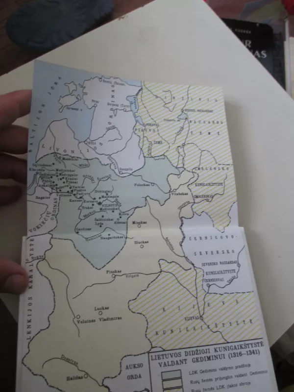 Gediminas - Alvydas Nikžentaitis, knyga 4