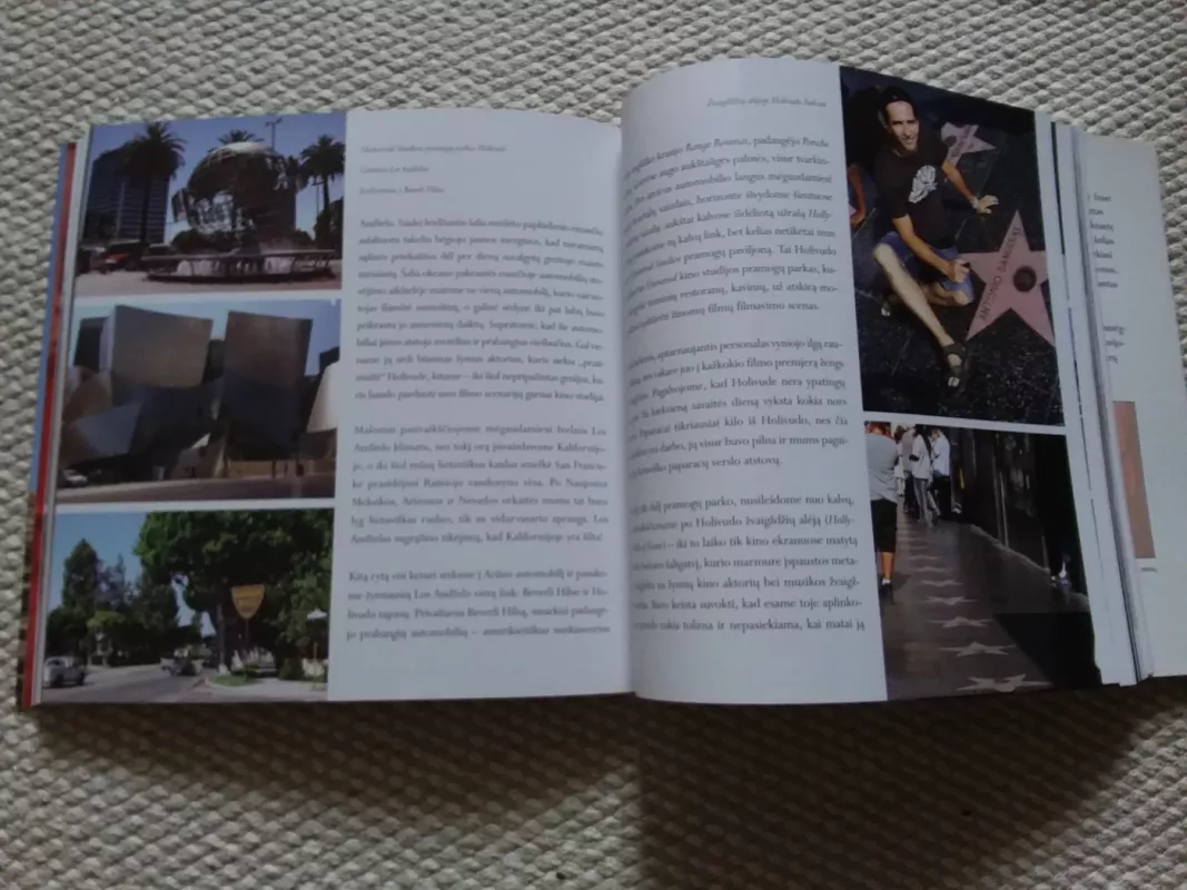 Svajonės Link - Darius Čibonis, knyga 5