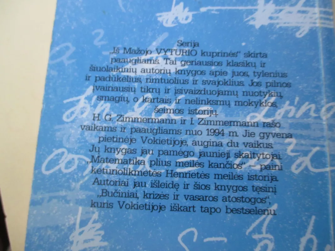 Matematika plius meilės kančios - Irene Zimmermann, knyga 5