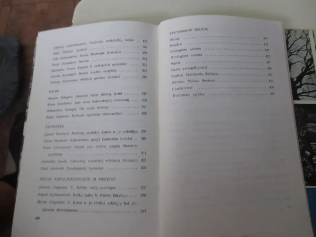 Merkinė - Autorių Kolektyvas, knyga 6