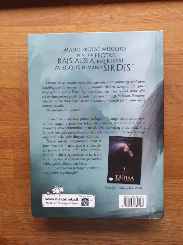 Miestas be padangės - Neringa Vaitkutė, knyga 3