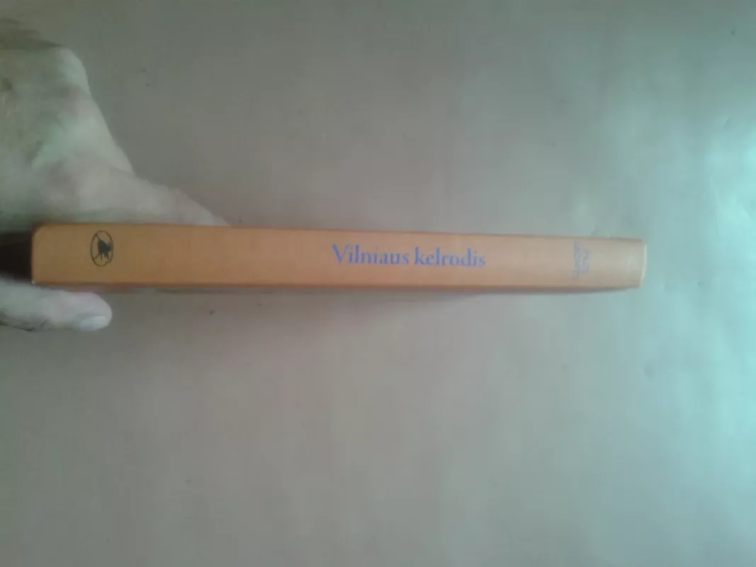 Vilniaus kelrodis. 1918-ųjų miesto veidas - Paul Monty, knyga 3