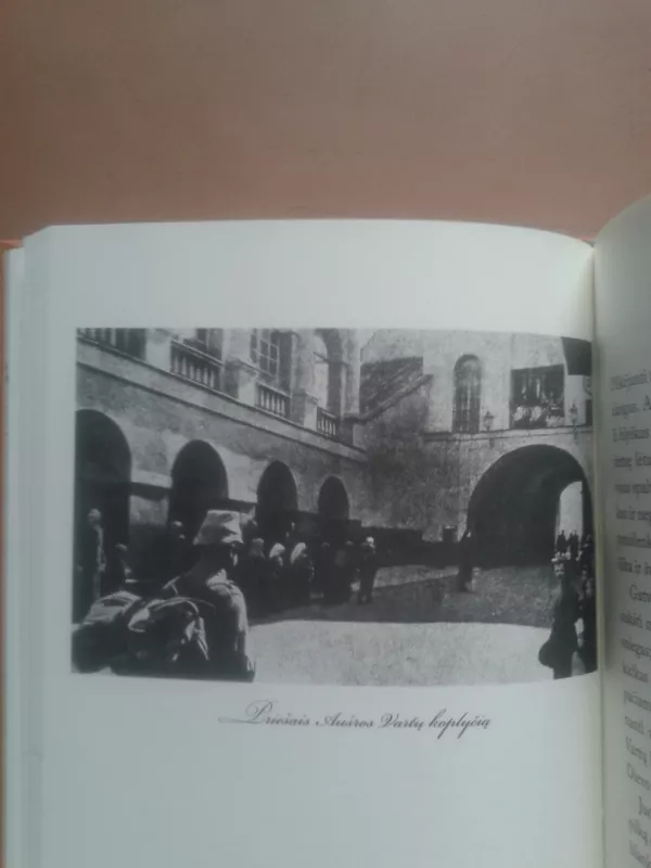 Vilniaus kelrodis. 1918-ųjų miesto veidas - Paul Monty, knyga 5