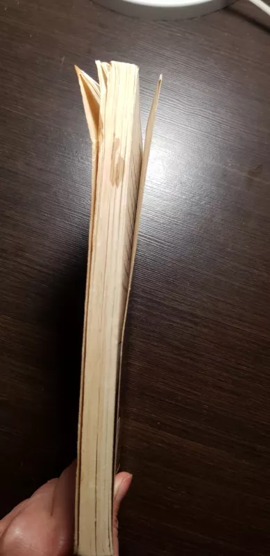 Užslinks naktis - Autorių Kolektyvas, knyga 3