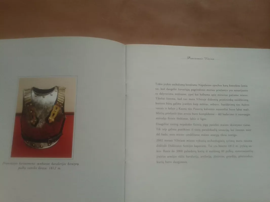 Prancūzmetis Vilniuje - Virgilijus Pugačiauskas, knyga 3