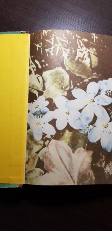 Gamtos pažinimas IV klasei - S. Molis, B.  Rimkevičienė, knyga 6