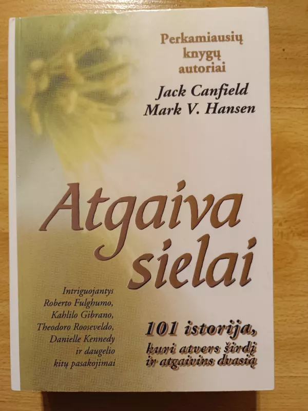 Atgaiva sielai, 1-3 knygos - Jack Canfield, Mark Viktor  Hansen, knyga 3