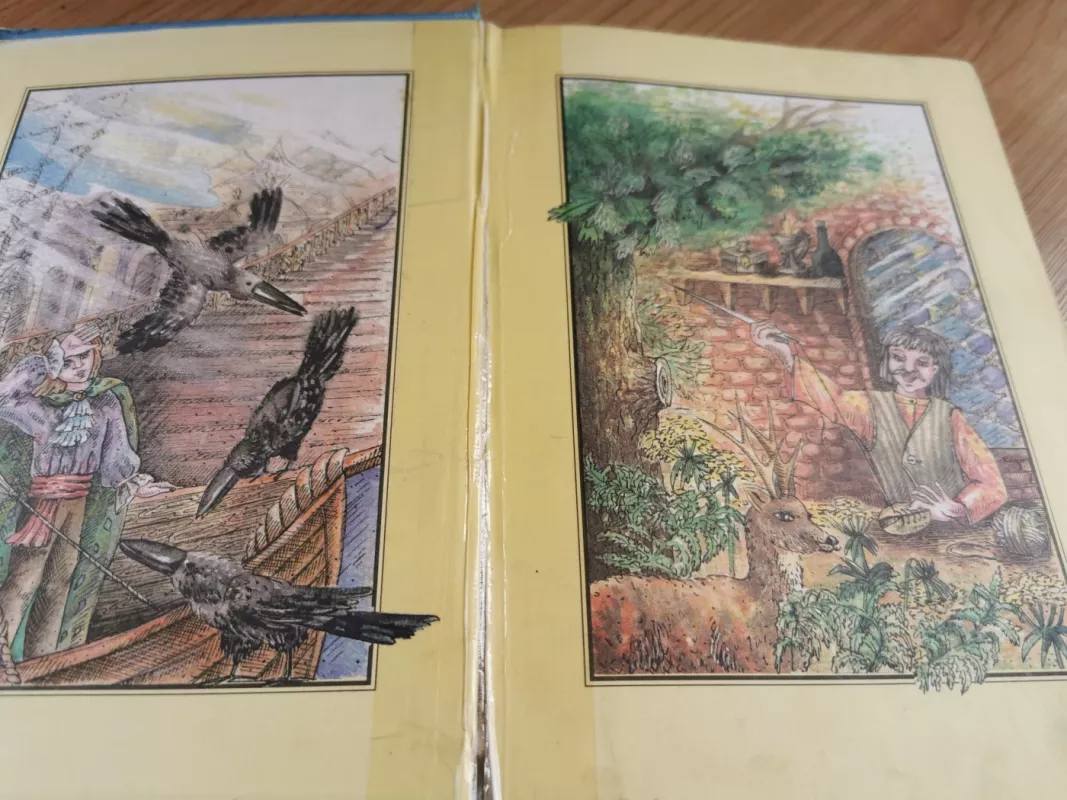 Brolių Grimų pasakos III knyga -  Broliai Grimai, knyga 4