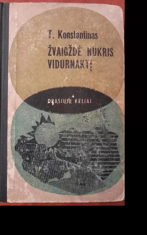 Žvaigždė nukris vidurnaktį - T. Konstantinas, knyga