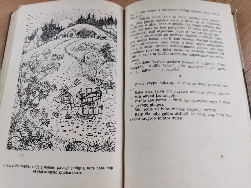 Kvailių kaimas - Eras Salola, knyga 4