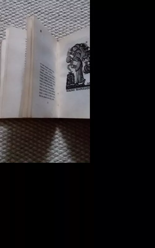 Yra šalis - Pranas Vaičaitis, knyga 3