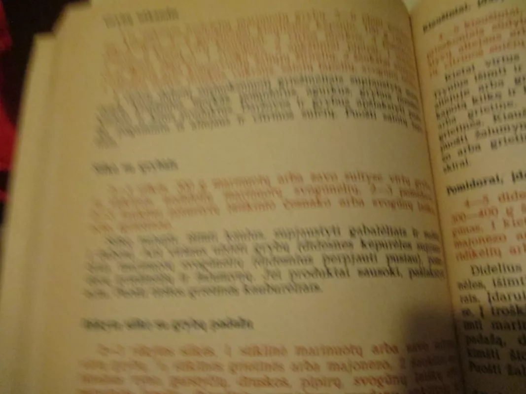 Mėsos ir grybų valgiai - S. Maso, O.  Relvė, knyga 4