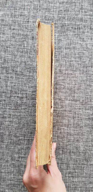 Juodasis karavanas - Klyčas Kulijevas, knyga 4