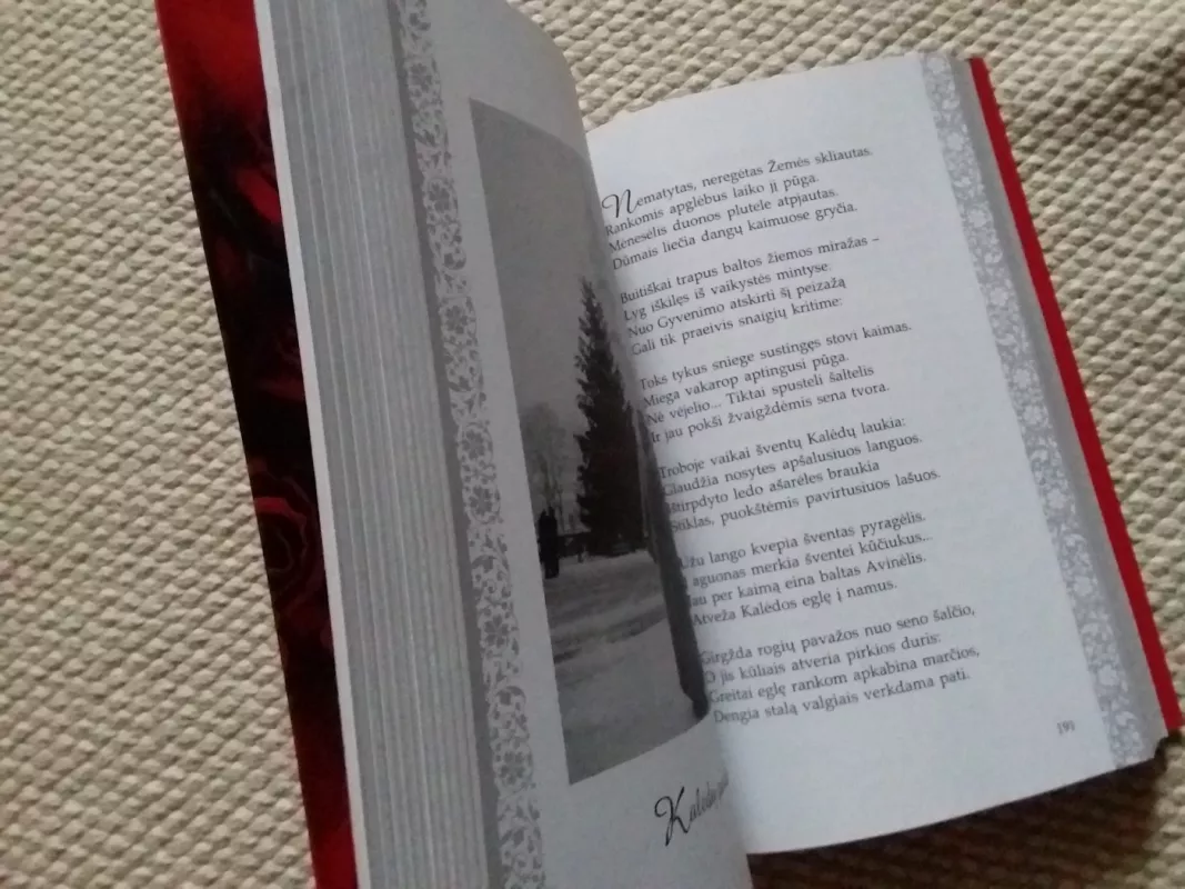 Ugninės meilės rožės - Nejolė Laukavičienė, knyga 4