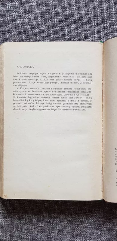 Juodasis karavanas - Klyčas Kulijevas, knyga 5