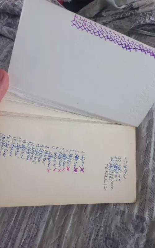 Pašalietis - Michel Amelin, knyga 3