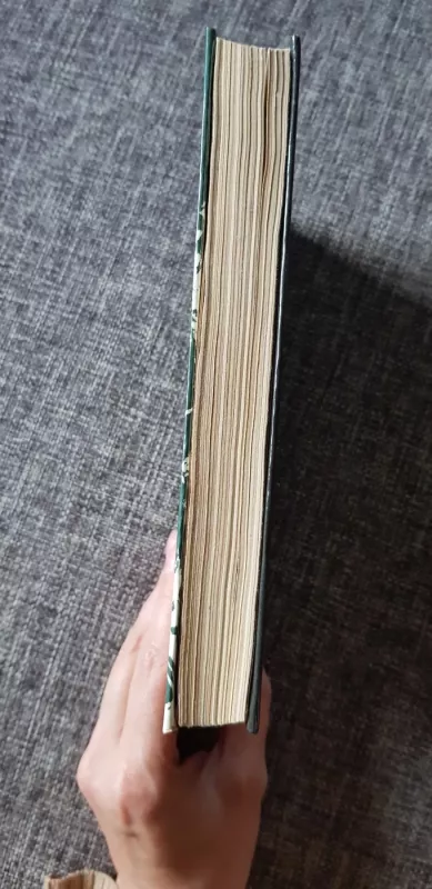 Гнев тайфуна - Альбертас Лауринчюкас, knyga 4