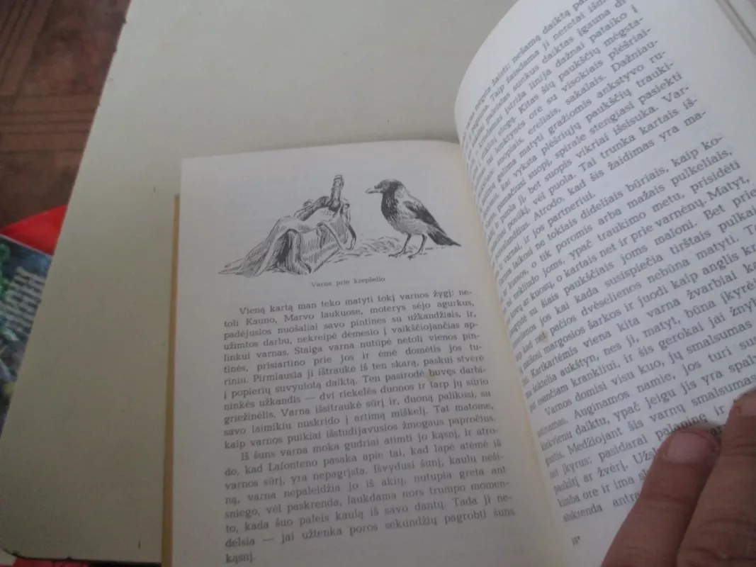 Apie žvėris ir paukščius - Tadas Ivanauskas, knyga 5