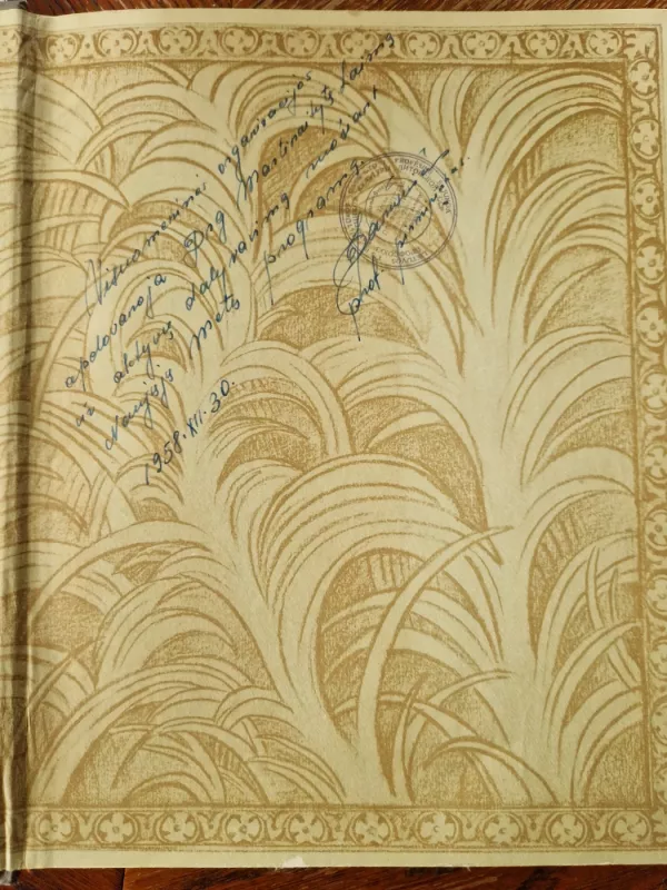 Vilnius. Architektūra iki XX amžiaus pradžios - Autorių Kolektyvas, knyga 4