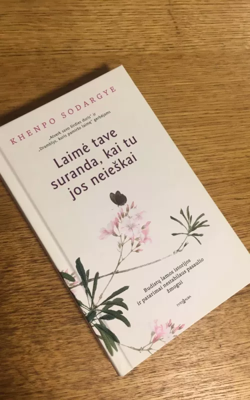 Laimė tave suranda, kai tu jos neieškai - Khenpo Sodargye, knyga
