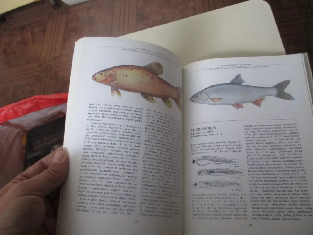 Lietuvos žuvys - Juozas Virbickas, knyga 6