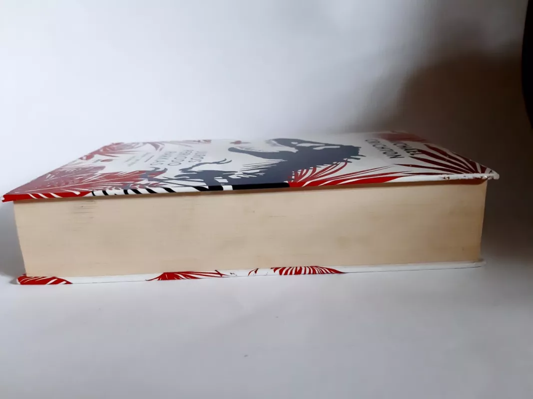 Juros periodo parkas - Michael Crichton, knyga 5