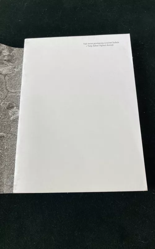 Taip dabar elgiasi dorieji. Žydus gelbėję Vilniaus krašto lenkai - Ilona Lewandowska, knyga 2