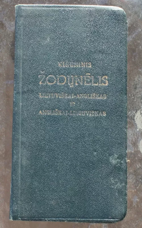 Kišeninis žodynėlis - Michael Tananevicz, knyga 2