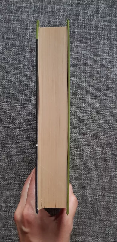 Po dvidešimties metų  - Aleksandras Diuma, knyga 5