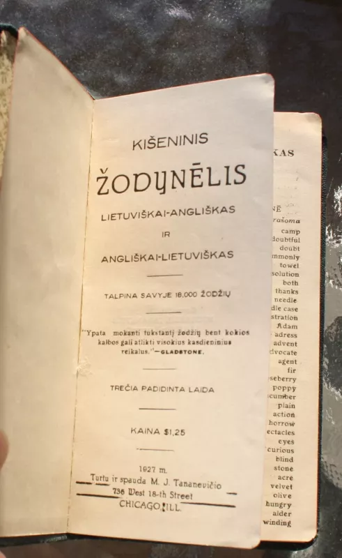 Kišeninis žodynėlis - Michael Tananevicz, knyga 3
