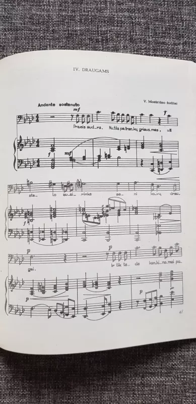 Tolimi keliai - Abelis Klenickis, knyga 4