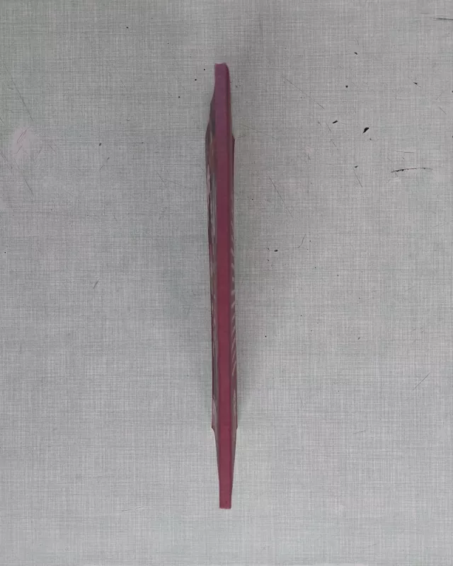 Lietuviška mokykla svetur - Jonas Bielskis, knyga 4