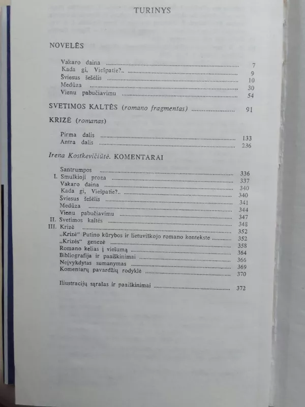 Raštai 5-asis tomas - Vincas Mykolaitis-Putinas, knyga 4