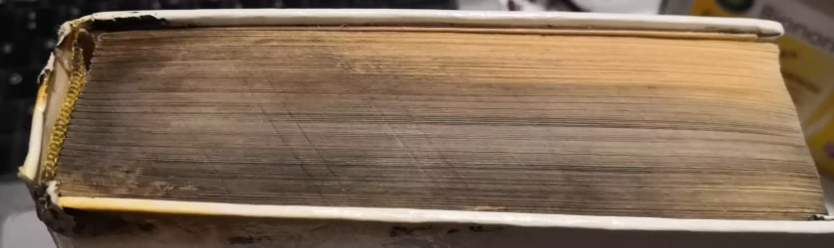 Pirmajame rate - Aleksandras Solženicynas, knyga 4