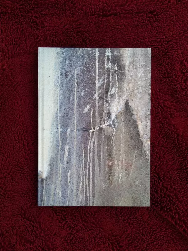 Noras gyventi geriau - Petras Česnulevičius, knyga 4