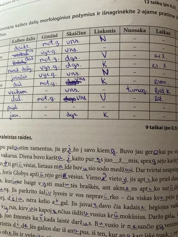 Lietuvių kalbos testai 10 klasei - Rita Matulienė, knyga 4