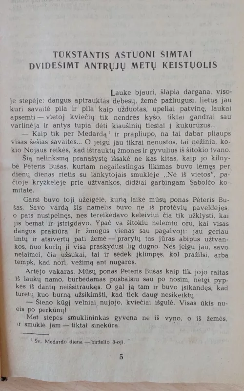 Vengrų nabobas - Moras Jokajus, knyga 4