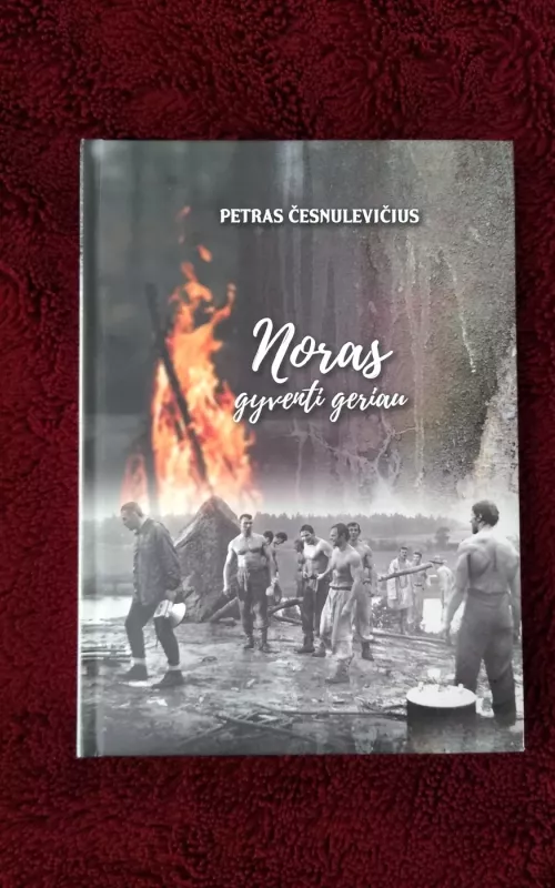 Noras gyventi geriau - Petras Česnulevičius, knyga 2